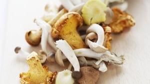 Brian McDermott's Mushroom recipes