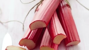 Domini Kemp’s rhubarb recipes to relish 