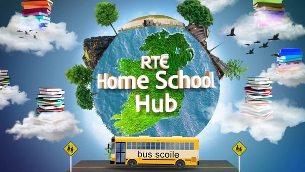 Home School Hub: All the Irish lessons in one place!