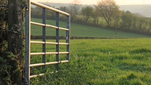 The report says the increase was driven by a combination of improved farm output prices, some easing in input costs, and additional CAP payments.