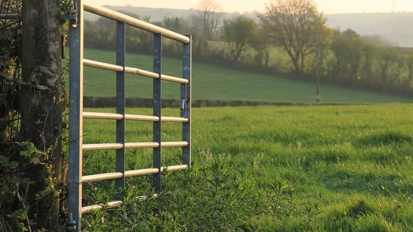 The report says the increase was driven by a combination of improved farm output prices, some easing in input costs, and additional CAP payments.