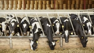 Should farmers need a prescription to dose their livestock?