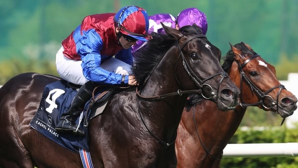 Los Angeles paid the price for sticking closely to a fast early and mid-race pace in the Prince of Wales's Stakes
