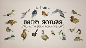 Bird Songs with Seán Ronayne