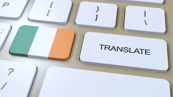 'We don't generally accept English loan words in Irish'. Photo: Getty Images
