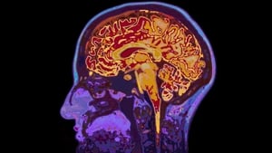 New research suggests a positive outlook could significantly protect against memory loss 