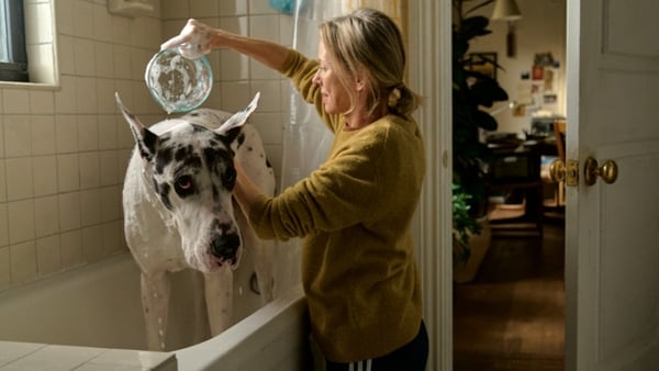Naomi Watts with her co-star Bing - Having brought out the best in each other, they deserve to bring out the best in you