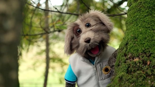 Séamus loves going for walks in nature!