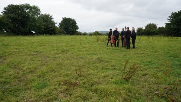 Field music - Quiet Music Ensemble get ready for their close up