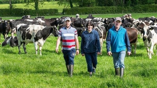 5 ways a Tipperary family created a model for sustainable farming