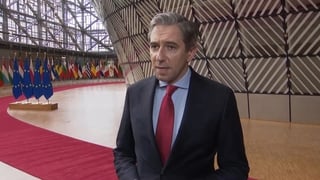 Tánaiste says three Irish citizens evacuated from Iran