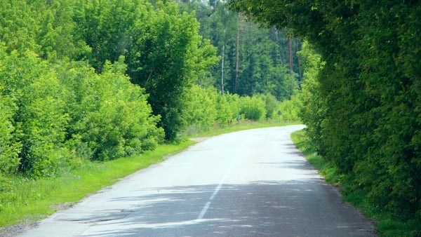 The IRHA has called on local authorities to ensure roadside hedges are cut back (stock image)