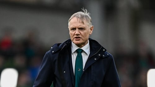 Former Ireland head coach Schmidt says 'it would be counterproductive' for some Wallabies to feature in games with a quick turnaround